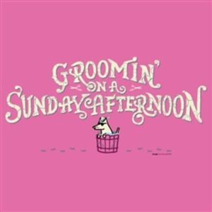 Groomin' on a Sunday Afternoon Ladies SMALL Short Sleeve PINK T-shirt NEW